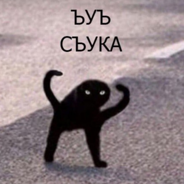 Erokez61